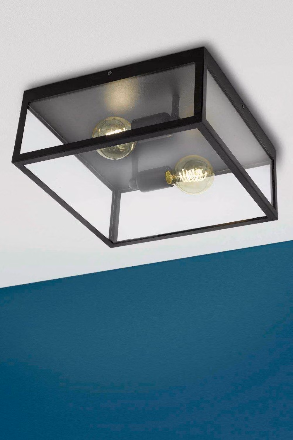 Eglo Charterhouse Industrial Black Metal and Transparent Glass Wall or Ceiling Light – 2