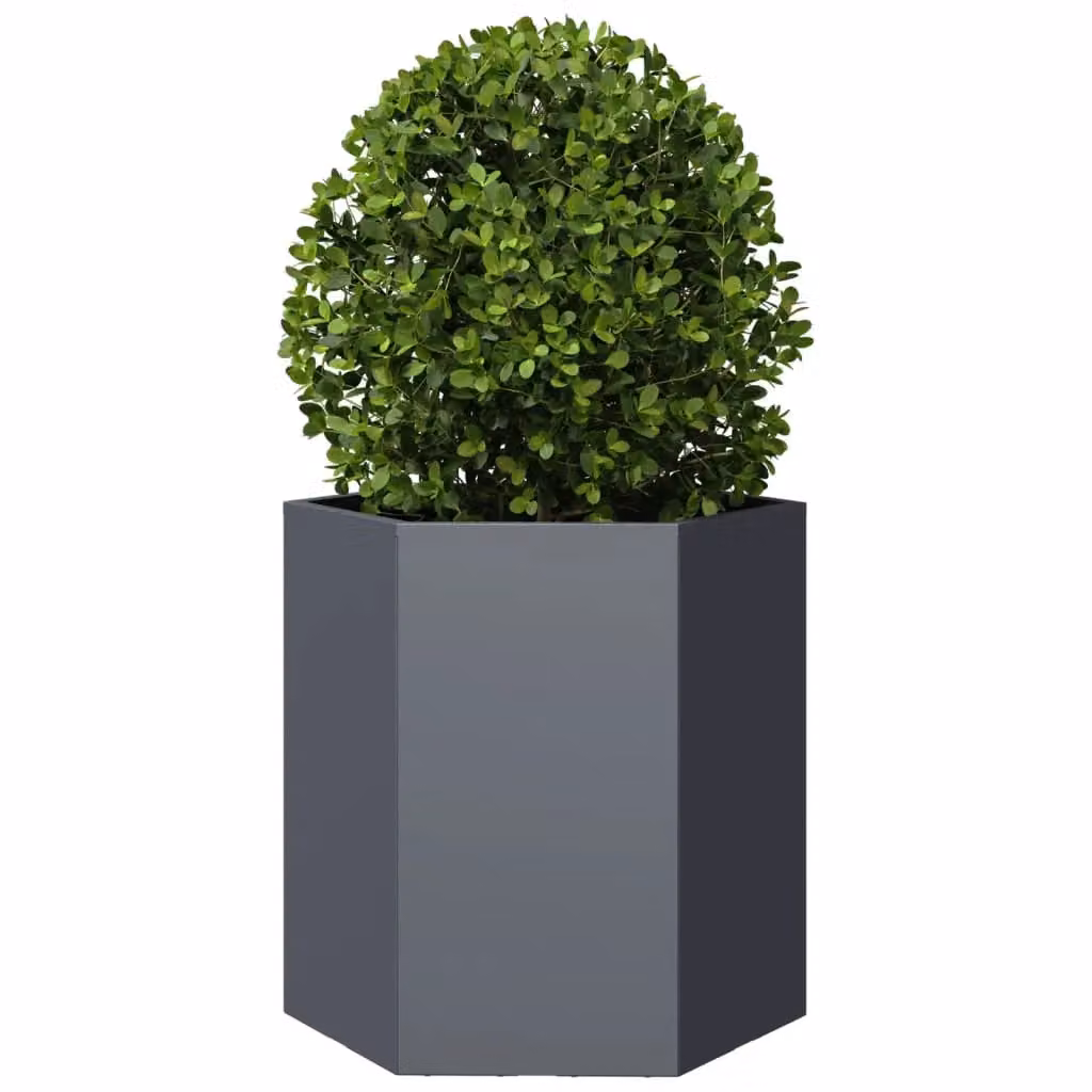 Berkfield Home Garden Hexagon Steel Planter Set of 2 in Anthracite and Black, W: 46 cm, D: 40 cm, H: 45 cm – 5