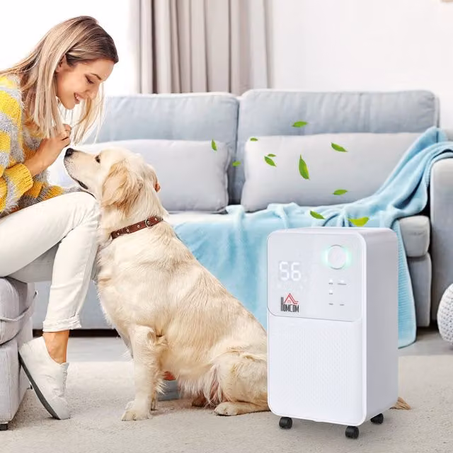 HOMCOM Portable Quiet Dehumidifier in White with 12L Daily Capacity and 2L Tank
