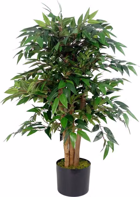 Luxury Smilax Sarsaparilla Artificial Ficus Tree in Green