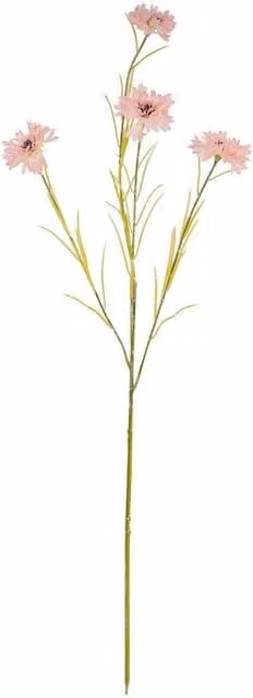 Lemon Pavilion Pink Cornflower Artificial Plastic Flower, W20 x D20 x H77 cm