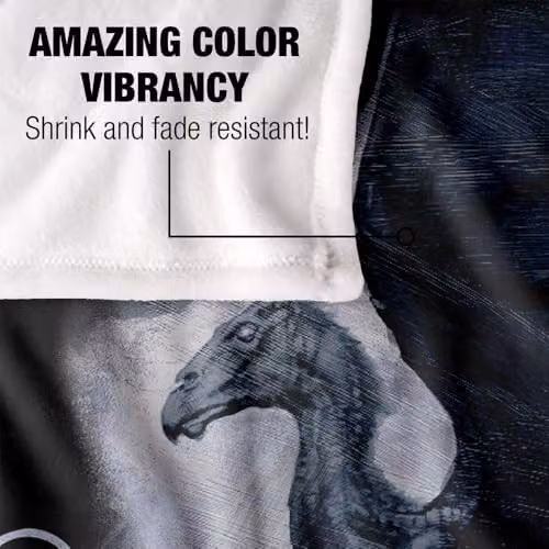 LOGOVISION Harry Potter Thestral Painting Super Soft Fleece Throw Blanket, Multicolour, W: 127 cm x L: 152.4 cm – 2