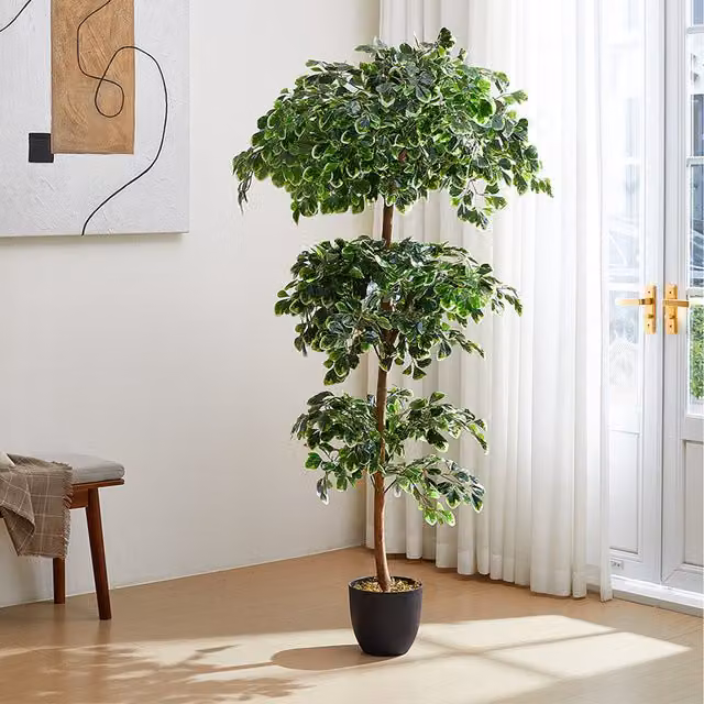 Lifeideas Decorative Artificial Tabletop Zamioculcas Tree with Pot in Green, White or Black