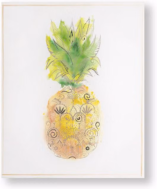 Art for the Home Pineapple Tropics Botanical Floral Printed Canvas in Multicolour
