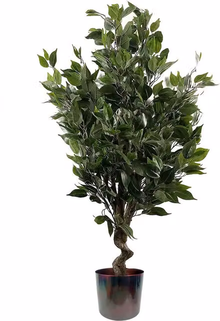 Artificial Evergreen Ficus Tree in Multicolour and Green, Height: 110 cm