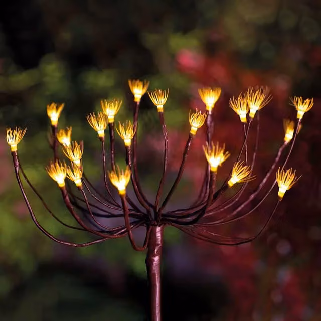 Solar Centre Wild Fennel Solar Garden Light in Brown with Warm White Illumination
