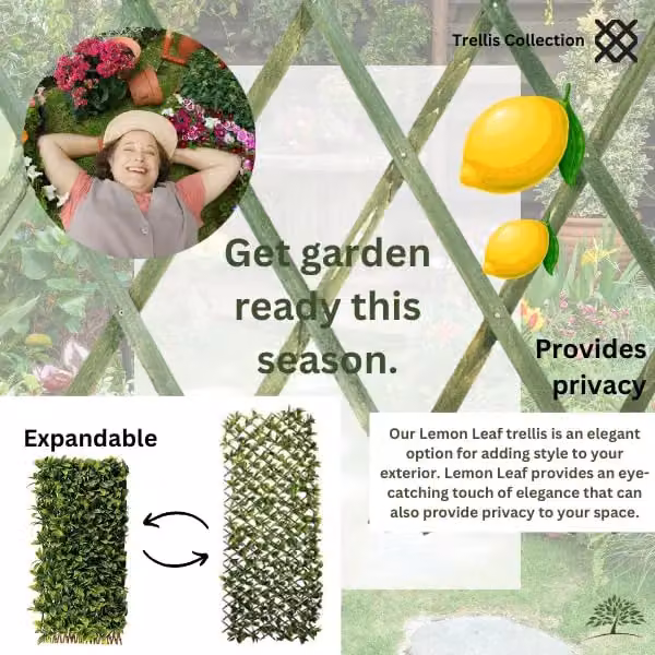 Marco Paul Artificial Lemon Leaf Wall Trellis Hedge in Green, W/H: 90 x 180 cm – 5