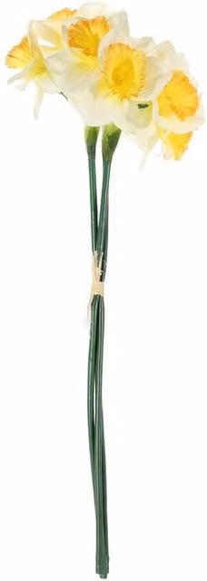 Kingsbury Gifts White Artificial Mini Silk Daffodil Bunch, Height: 41 cm