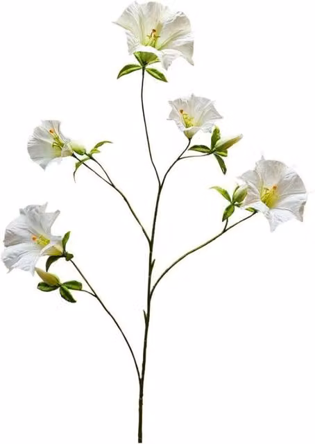 KDMD Botanica Cream Sundaville Floral Textile Chair in White, Height: 113 cm