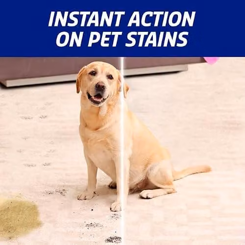 Vanish Pet Expert Oxi Action Stain Remover Spray, 500ml, Pink, Fresh Scent Carpet Cleaner – 3