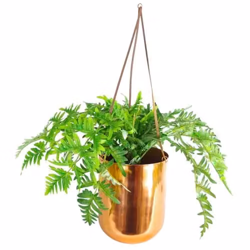 Botanik Green Artificial Hanging Potted Office Plant