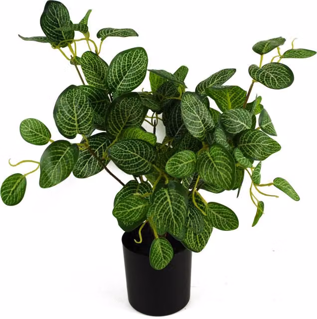 Botanik Artificial Variegated Pothos Tabletop Potted Plant in Green and Black