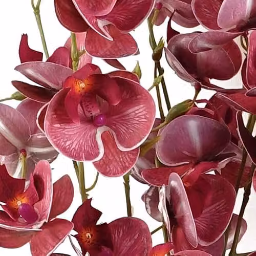 Leaf Pack of 6 Dark Pink Artificial Mini Orchid Stems, Height: 80 cm – 2