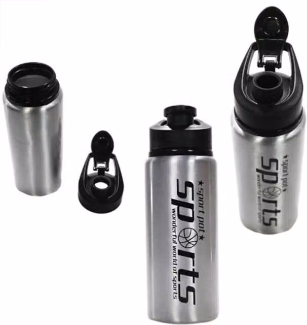 KDMD Silver Metal Insulated Water Bottle, 500ml, Leak Proof and BPA Free for Children