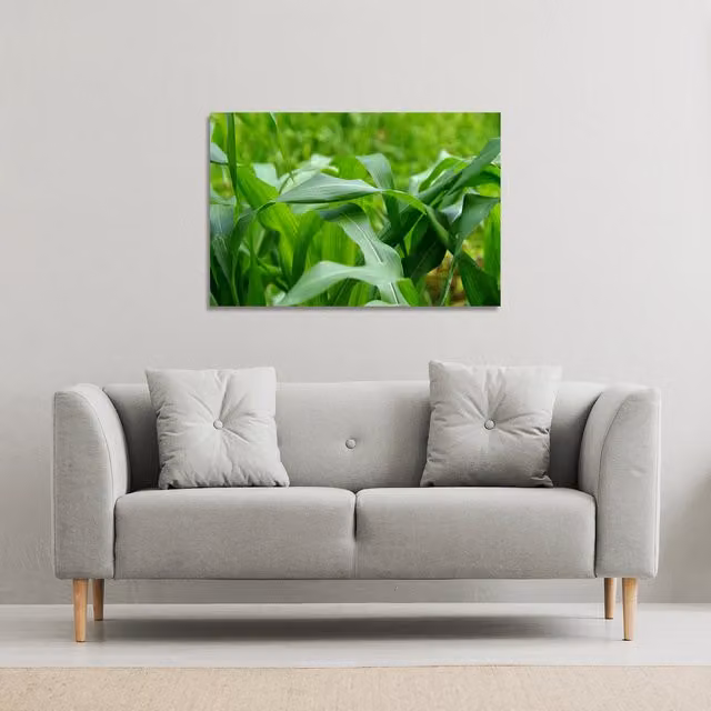 Benjamin Tate Design LTD Green Leaves Corn Fields Landscape Canvas Print, W: 101 cm, H: 77 cm