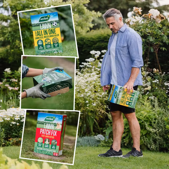 Westland Ultimate LawnCare Bundle for Weed, Moss Control, Repair and Patch Fix, 10kg for 350m2