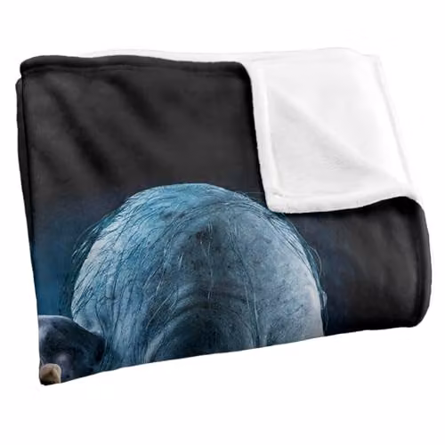 LOGOVISION Lord of the Rings Return of the King Smeagol Silky Touch Super Soft Fleece Throw Blanket, Multicolour, W: 91.44 cm x D: 147 cm – 2