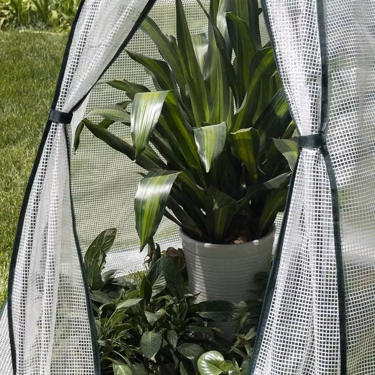 NESTLUNE White Translucent Weatherproof Steel Outdoor Greenhouse Dome Growing Aid W: 100 cm, D: 15 cm