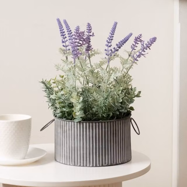 Scottish Everlastings Ltd Purple Lavender in a Black Metal Iron Pot, Height: 37.5 cm