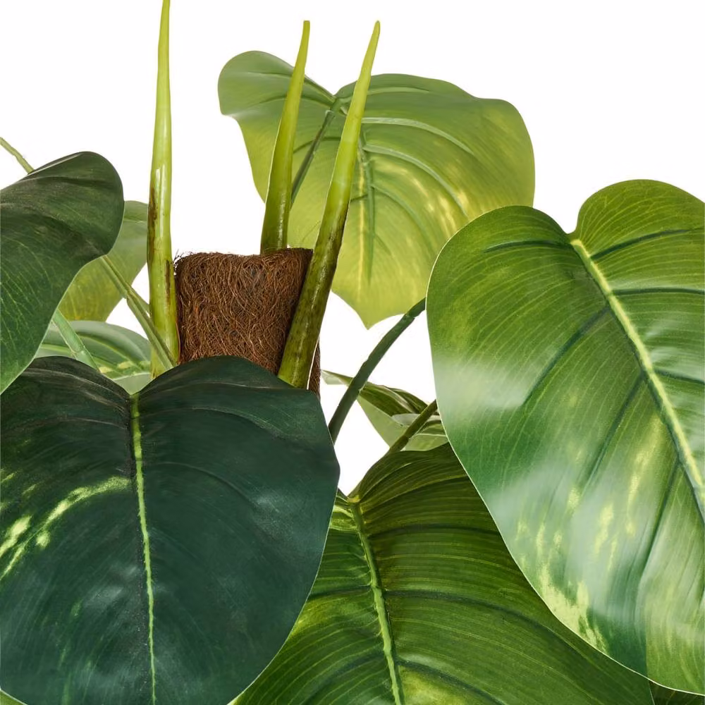 Wyld and Coco Green Dieffenbachia Artificial Potted Plant, Height: 152 cm – 3