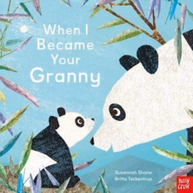 Nosy Crow Susannah Shane When I Became Your Granny Paperback Book in Silver and Multicolour