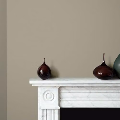 Craig & Rose 1829 Gloss Olive Green Paint Stop, 2.5 l – 2