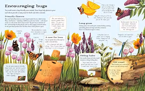 Usborne Outdoor Book 1: Nature Books, Multicolour Paper Book – 2