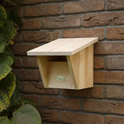 Esschert Design Brown Wooden Robin Nesting Box in Gift Box, W/D/H: 25.0 x 22.0 x 20.0 cm – 2