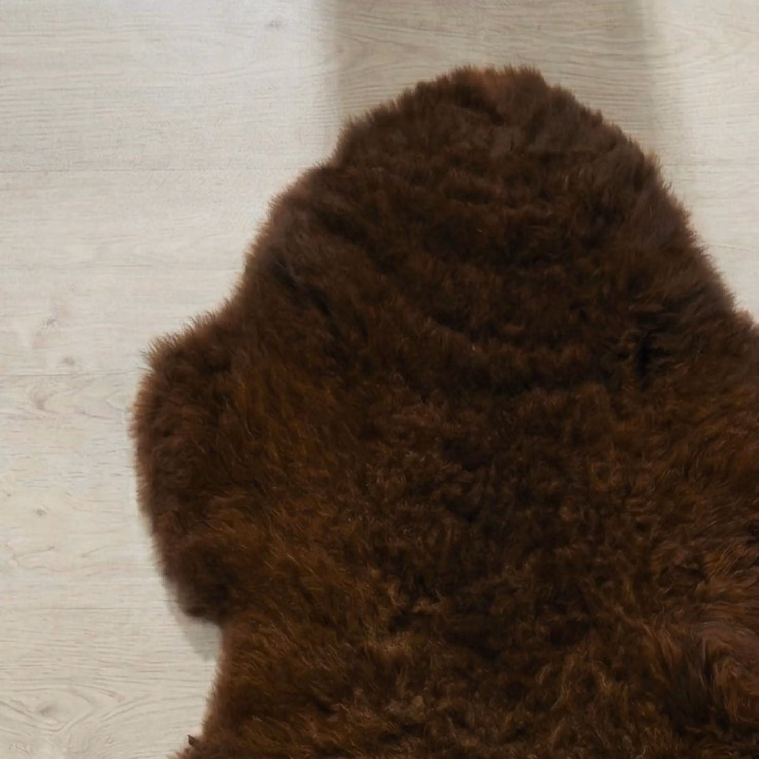 Simply Sheepskin Brown Genuine Wool Rug, W/D: 100 x 60 cm – 3