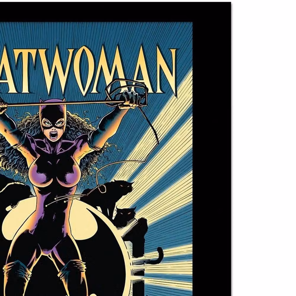 Batman Catwoman Comic Cover Framed Multicolour Paper Poster – 2
