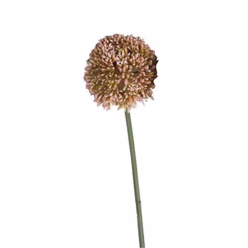 Love Lace Hill Interiors Pink and Green Artificial Allium Flower Spray, Height: 63 cm
