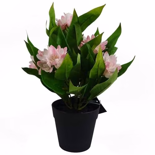 Leaf Pink Artificial Freesia Flowering Houseplant in a Potted Tabletop Design, Height: 18 cm – 1