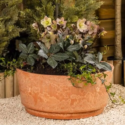 Garden Gear Caesar Terracotta Marble Effect Planter Tub, Brown and Orange, Diameter: 46 cm – 2
