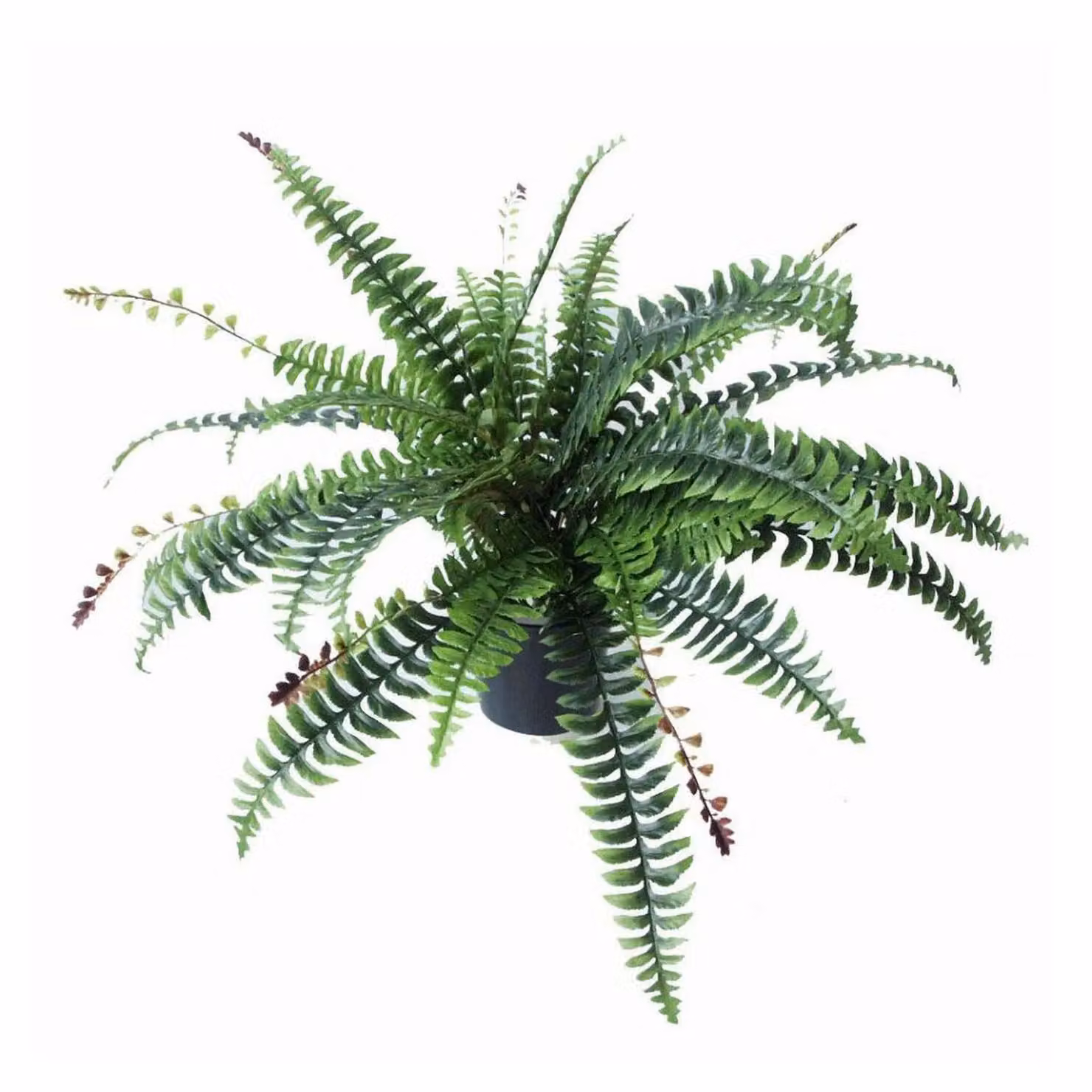 Leaf Design UK Realistic Large Artificial Green Foliage Potted Plant, Height: 60 cm – 2