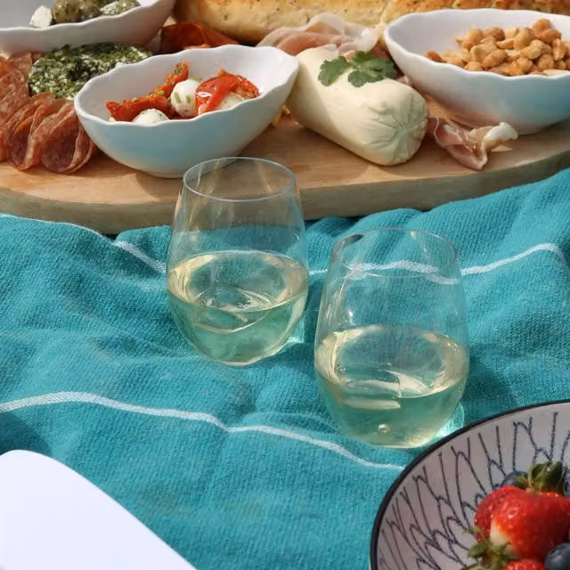 Argon Tableware Transparent Plastic Stemless Wine Glasses, 480ml, Pack of 12