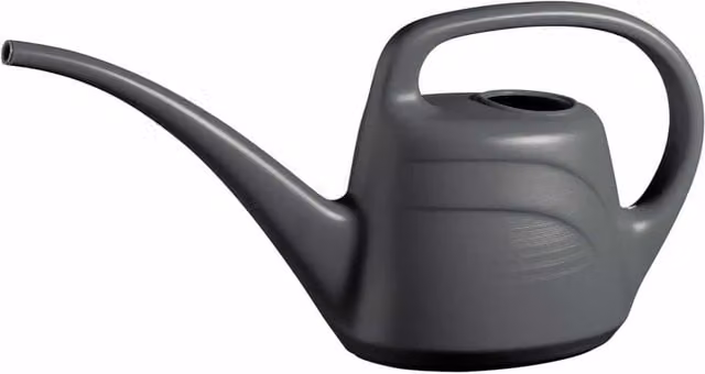 Green Wash Modern Long Spout Indoor Watering Can for Indoor Plants in Anthracite Grey and Black