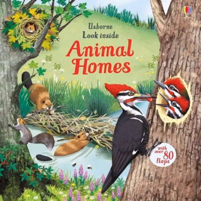 Look Inside Animal Homes Board Book by Emily Bone, Multicolour