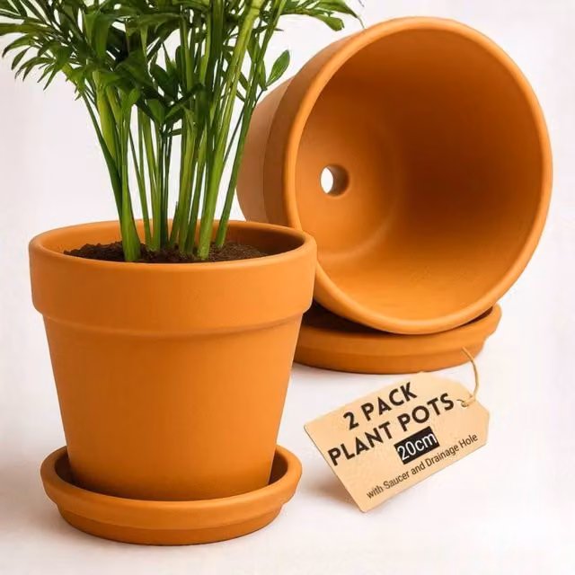 Green Thumbz Pack of 2 Brown Terracotta Clay Plant Pots with Saucer, Diameter: 20 cm