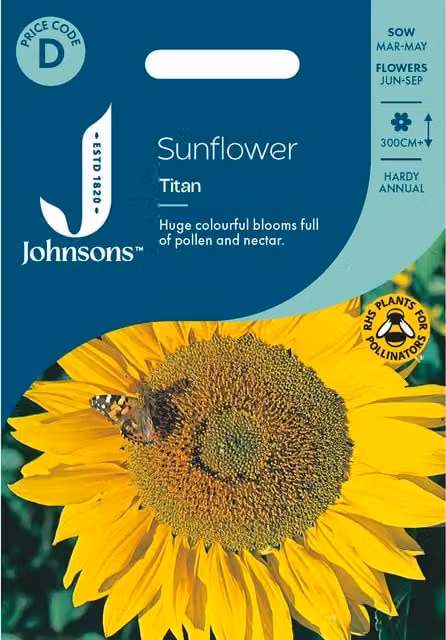 Johnsons Seeds Yellow Sunflower Titan Flower Seeds