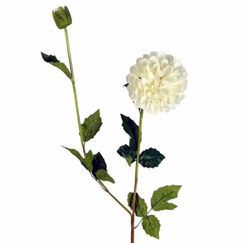 Leaf Artificial Dahlia PomPom Flowers in White and Beige, Height: 75 cm