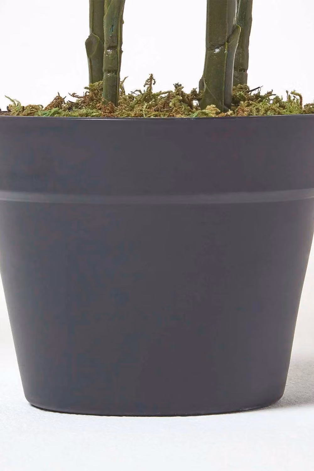 Homescapes Green Multi Stem Palm Tree in Pot, Height: 120 cm – 3