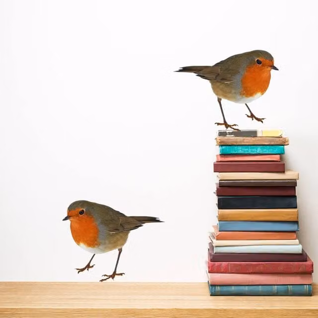 60 SECOND MAKEOVER Multicolour Robin Adhesive Wall Stickers