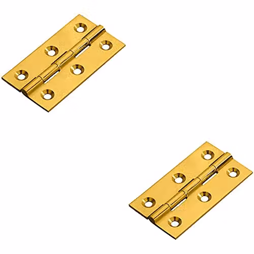 Loops 2 Pack Polished Brass Concealed Cupboard Hinges W/D/H: 64 x 35 x 2 mm