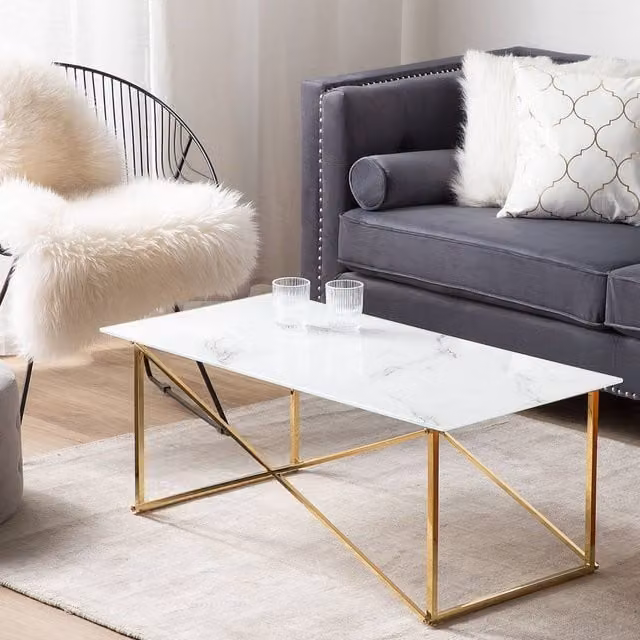 Wyld and Coco Rectangular White and Gold Coffee Table W/D/H: 100 x 50 x 40 cm