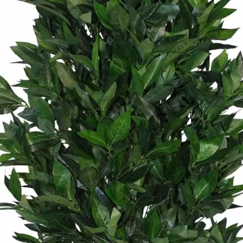 Leaf Pair of Extra Large Artificial Topiary Bay Trees, Green Pyramid Cones, Height: 120 cm – 3