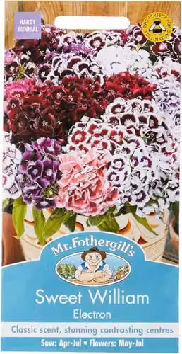 Mr Fothergill's Sweet William Electron Mixed Multicolour Flower Seeds