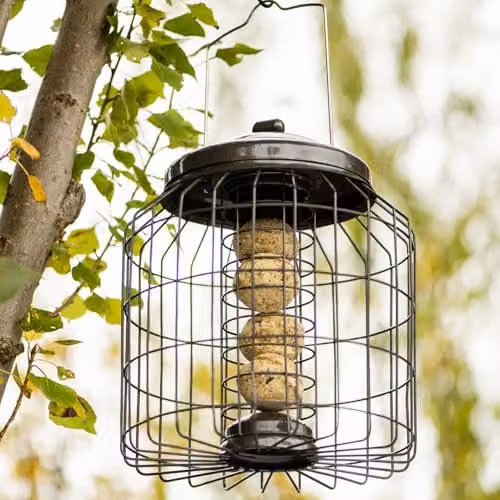 Happy Beaks Heavy Duty Squirrel Proof Bird Feeder, Grey Metal Fat Ball Seed Feeder with Anti-Bacterial Coating, 500g Capacity – 2
