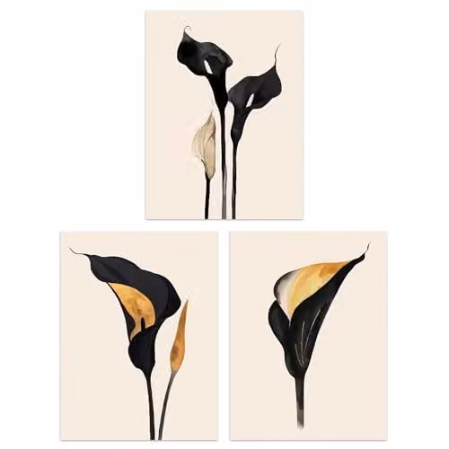 Artery8 Set of 3 Abstract Black and Gold Calla Lily Flower Wall Art Paper Poster Prints, W/H: 30.48 x 40.64 cm
