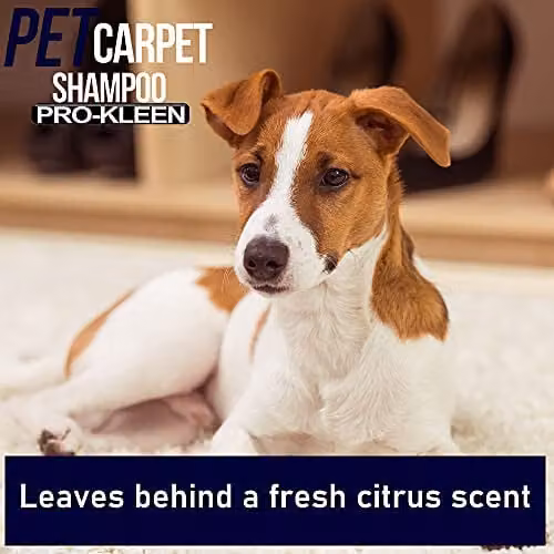 Pro-Kleen Pet Carpet and Upholstery Extraction Shampoo Solution with Reactivating Odour Treatment, Pink, 5 l – 5