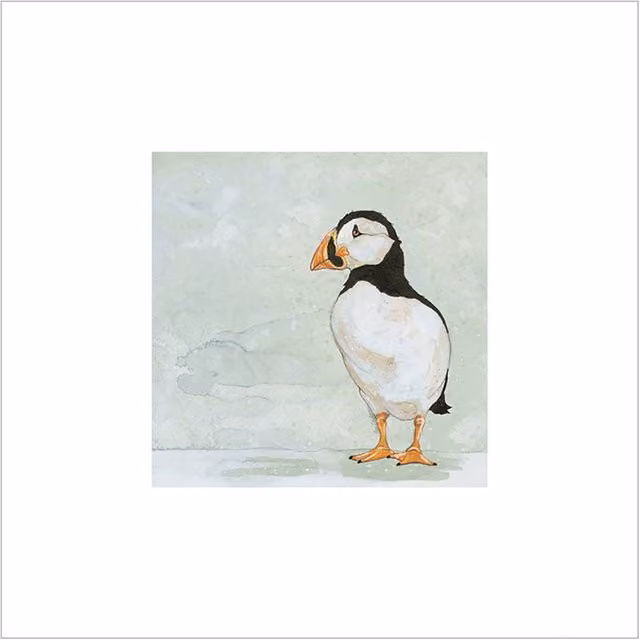 Bev Davies Gazing Puffin Multicolour Paper Print